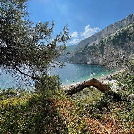 Normandy Ξενοδοχείο Cap-d'Ail