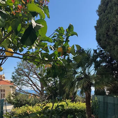 Ξενοδοχείο Normandy Cap-d'Ail